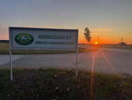 RMH önjáró takarmánykeverő-kiosztó kocsi pilótát keresek