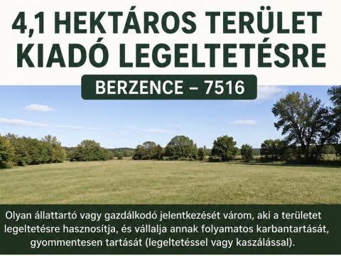 LEGELŐNEK / ÁLLATTARTÁSRA KIADÓ TERÜLET – BERZENCE LEGELŐNEK / ÁLLATTARTÁSRA KIADÓ TERÜLET – BERZENCE