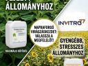 Fitonatur Bórium lombtrágya: a maximális hozam záloga erős napraforgóállományokhoz
