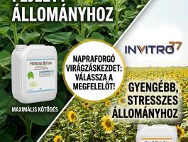 Fitonatur Bórium lombtrágya: a maximális hozam záloga erős napraforgóállományokhoz