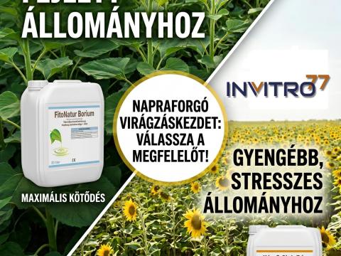 Fitonatur Bórium lombtrágya: a maximális hozam záloga erős napraforgóállományokhoz Fitonatur Bórium lombtrágya: a maximális hozam záloga erős napraforgóállományokhoz