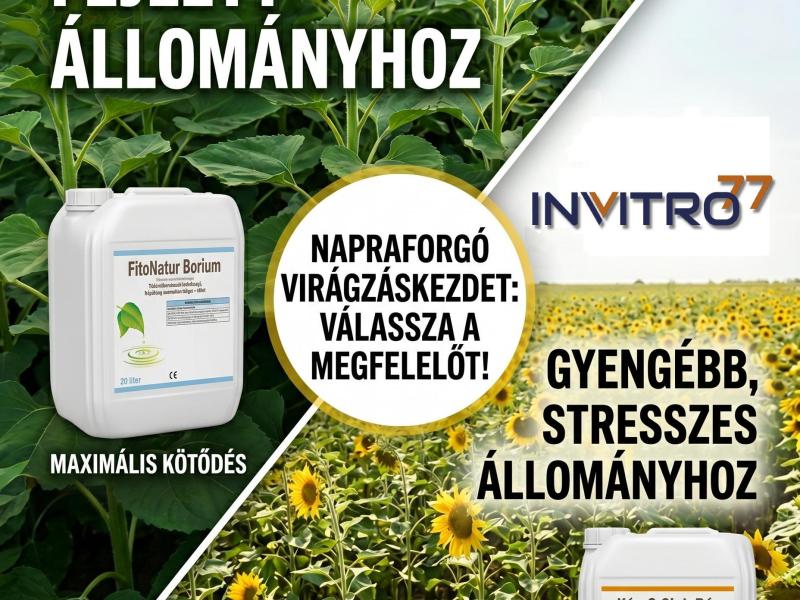 Fitonatur Bórium lombtrágya: a maximális hozam záloga erős napraforgóállományokhoz Fitonatur Bórium lombtrágya: a maximális hozam záloga erős napraforgóállományokhoz