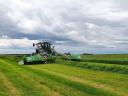 Samasz Gigacut KDD 920 W kasza - Royal Traktor