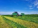 Samasz Gigacut KDD 920 W kasza - Royal Traktor