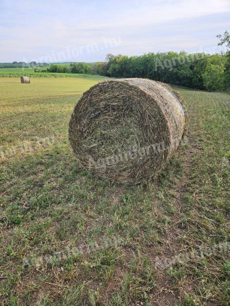 Eladó 200 db első kaszálású lucernabála