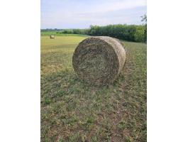 Eladó 200 db első kaszálású lucernabála
