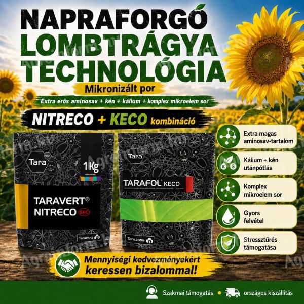 Napraforgó lombtrágya-technológia