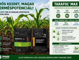 Cink–mangán lombtrágyázás kukoricában 3500 Ft/ha