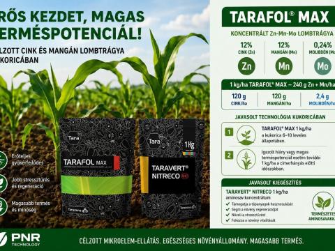 Cink–mangán lombtrágyázás kukoricában 3500 Ft/ha