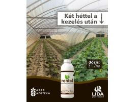 Rental gyökereztető biostimulátor 5l
