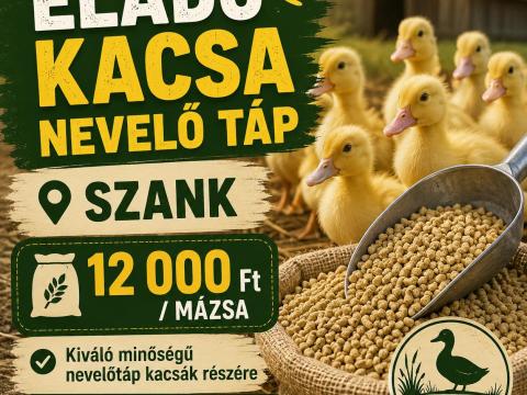 Baromfi nevelőtáp