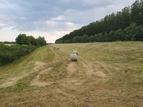 Széna bála eladó Széna bála eladó