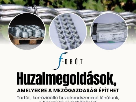 Szőlődrót