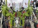 CLAAS Liner 3600