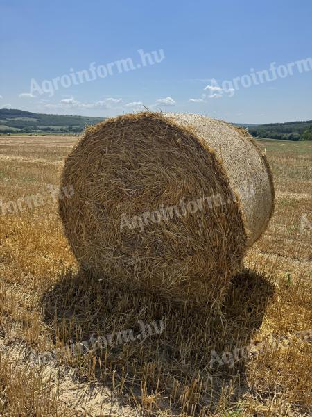 Őszi árpa szalma