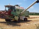 106 Dominator eladó