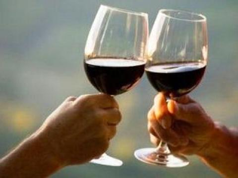 Cabernet Sauvignon / Blauburger / Kékfrankos bor eladó