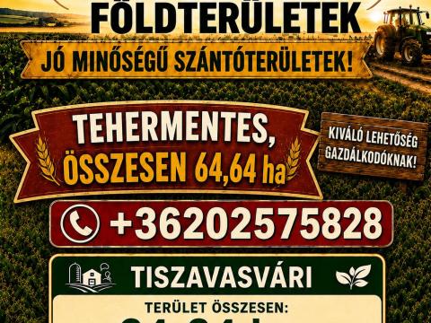 Szántóföld Tiszavasvári Szántóföld Tiszavasvári