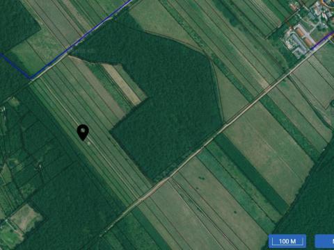 Zánkán, szőlő művelési ágú, 7474 m²-es, 51,94 AK értékű terület eladó