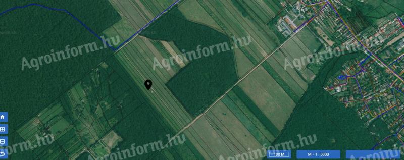 Zánkán, szőlő művelési ágú, 7474 m²-es, 51,94 AK értékű terület eladó
