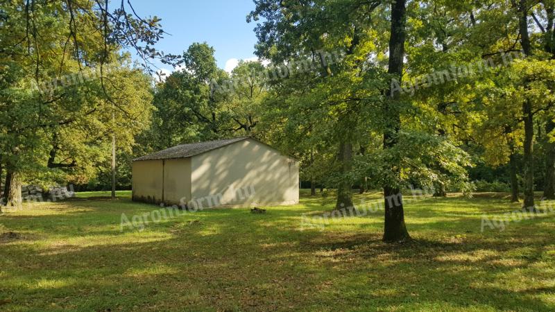 Építési telek 50-100 éves tölgyfás 25.000 m2