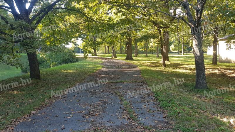 Építési telek 50-100 éves tölgyfás 25.000 m2