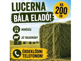 Lucernabála
