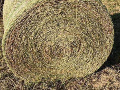 Szarvaskerepes lucernás széna körbála Szarvaskerepes lucernás széna körbála