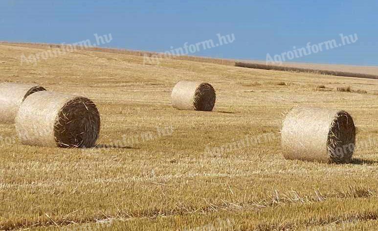Búzaszalma bála eladó