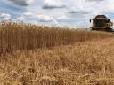 New Holland CX8080