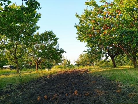 Vegyes gyümölcsös 2,3 ha eladó Egertől 7 km-re Vegyes gyümölcsös 2,3 ha eladó Egertől 7 km-re