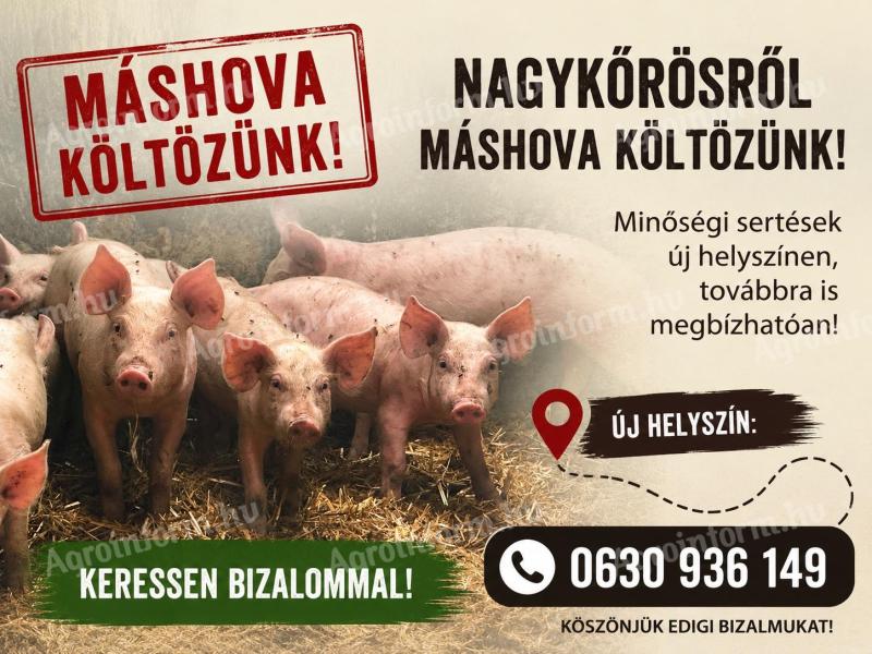 Malacok