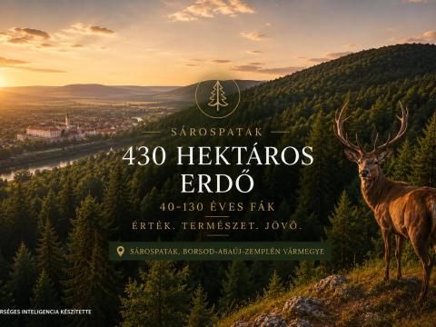 430 hektár Natura 2000-es erdő, egyben, Sárospatakon eladó 430 hektár Natura 2000-es erdő, egyben, Sárospatakon eladó