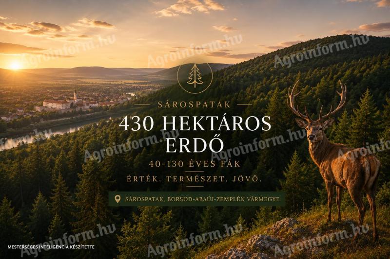 430 hektár Natura 2000-es erdő,  egyben,  Sárospatakon eladó