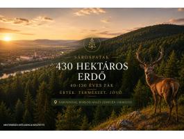 430 hektár Natura 2000-es erdő,  egyben,  Sárospatakon eladó