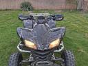 Kawasaki kfx 700