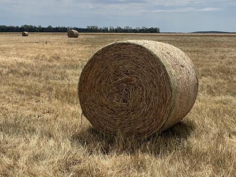 Szénabála Szénabála