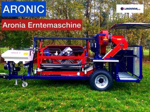 Jagoda Aronic - bogyósgyümölcs-betakarító kedvezményes áron - Royal Traktor Jagoda Aronic - bogyósgyümölcs-betakarító kedvezményes áron - Royal Traktor