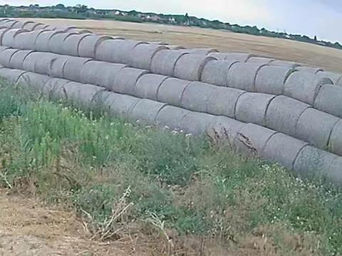 Szalmabála 150-es (búza), 400 db eladó Szalmabála 150-es (búza), 400 db eladó