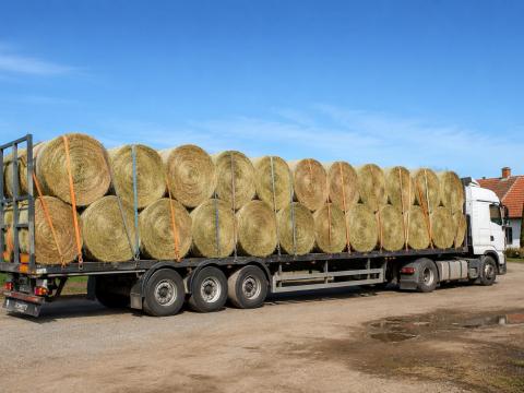 1. osztályú lucerna 150 cm széna bálák eladók 1. osztályú lucerna 150 cm széna bálák eladók