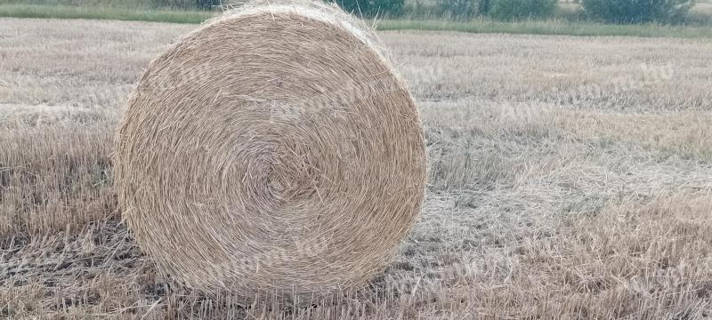 Körbálás szalma eladó
