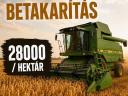 Gabona betakarítás