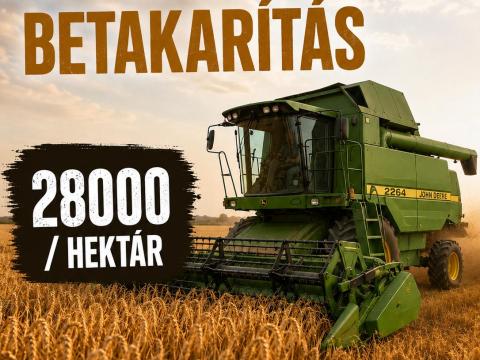 Gabona betakarítás Gabona betakarítás