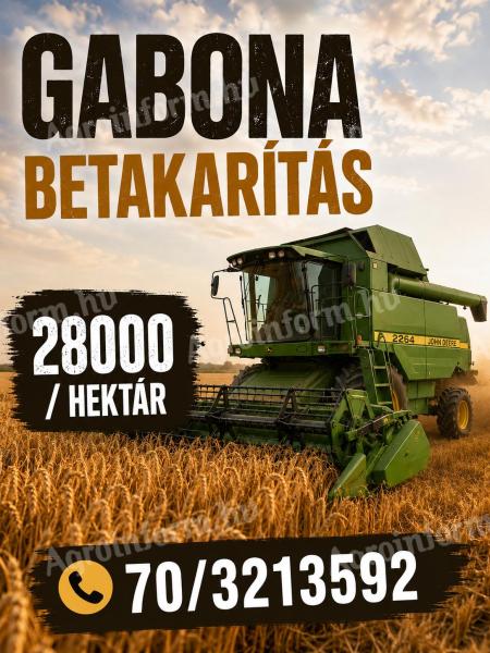 Gabona betakarítás