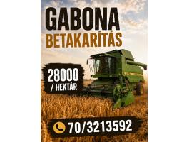 Gabona betakarítás