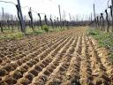 Moreni Vitis K 1750 forgóborona + Güttler Mediana henger demógép