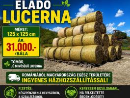 Lucerna