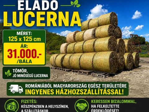 Lucerna Lucerna
