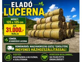 Lucerna
