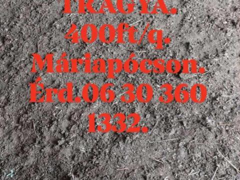Birka trágya
